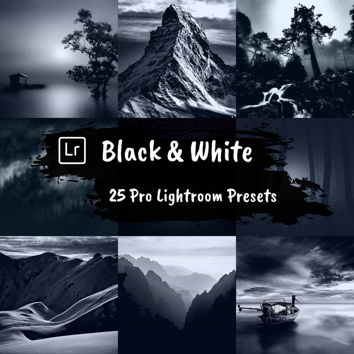 25 Black and White Presets
