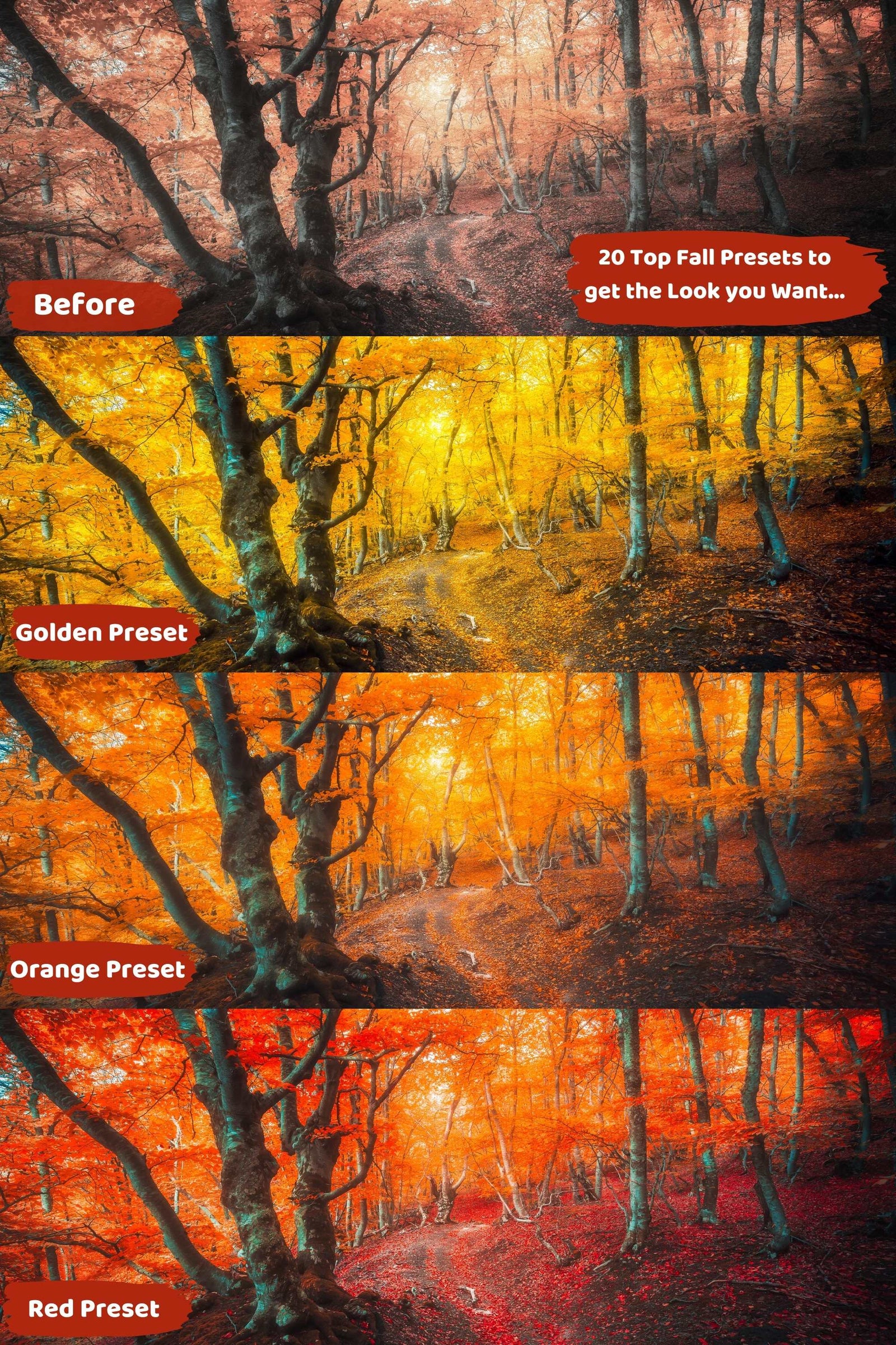 20 Best Fall Lightroom Presets | Stunning Fall Photo Ideas