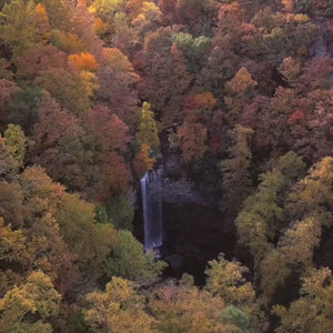 Fall Lightroom Presets Video