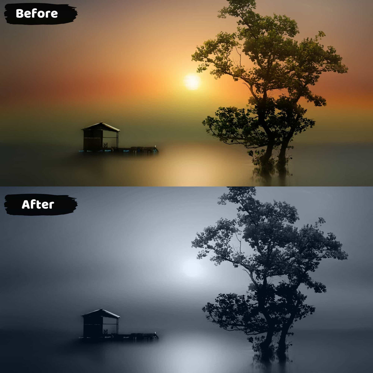 Best Black and White Presets Lightroom