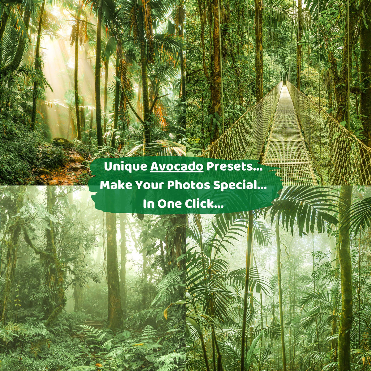 Avocado Green Lightroom Instagram Presets