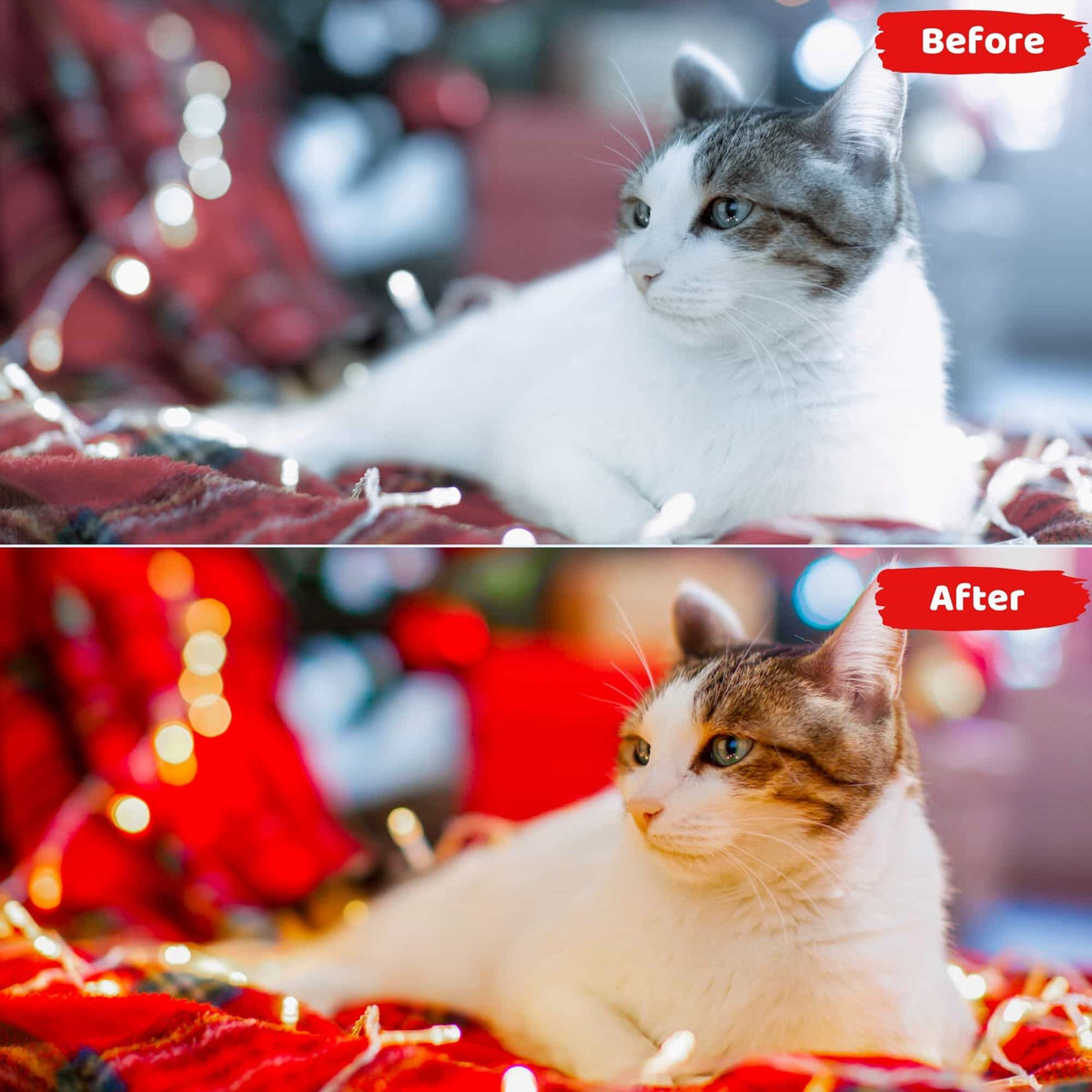 12 Warm Christmas Presets