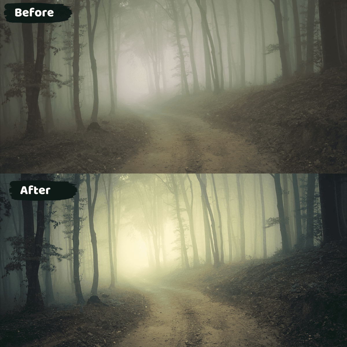 Dark Moody Lightroom Presets Mobile and Desktop