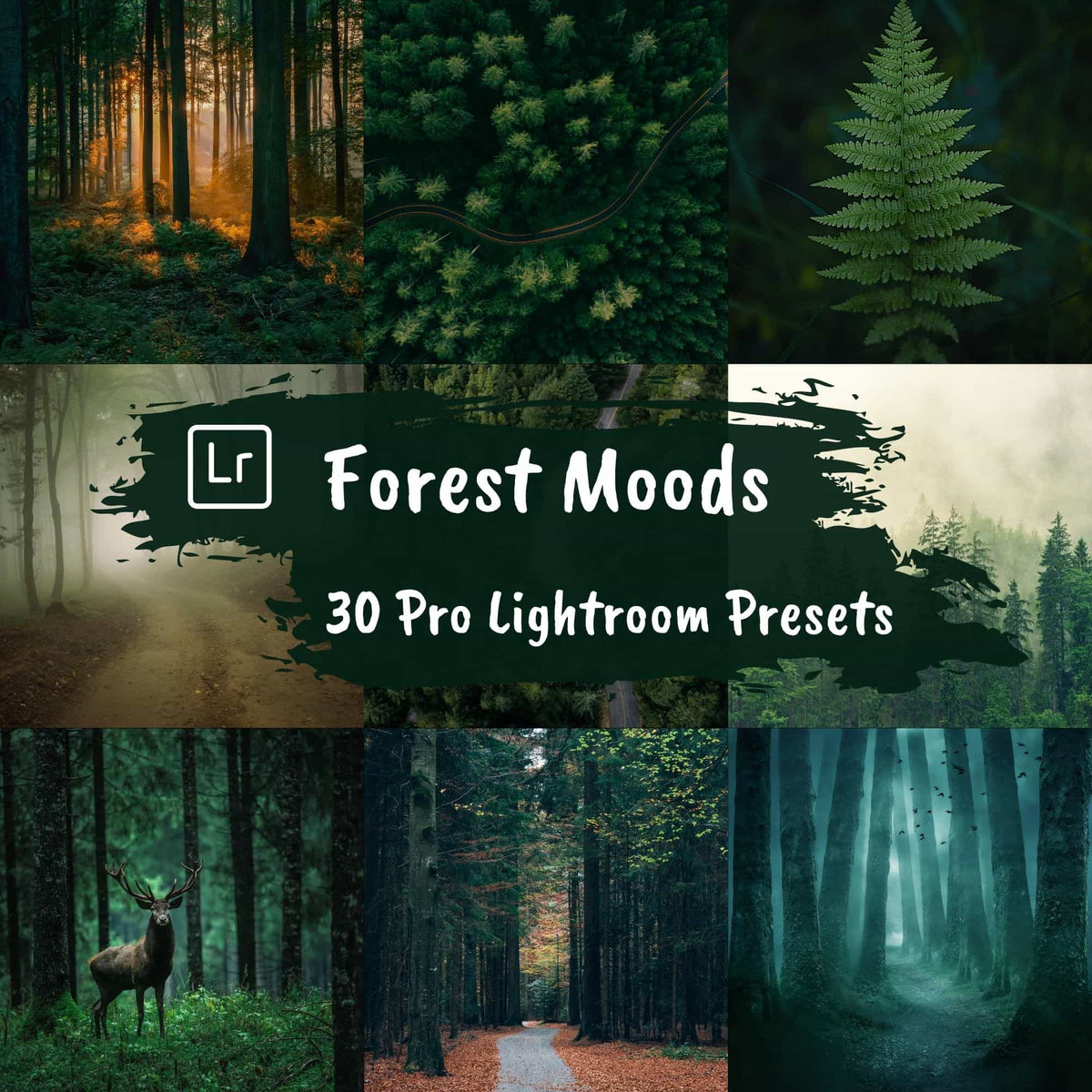 Dark and Moody Lightroom Presets Landscape Forest