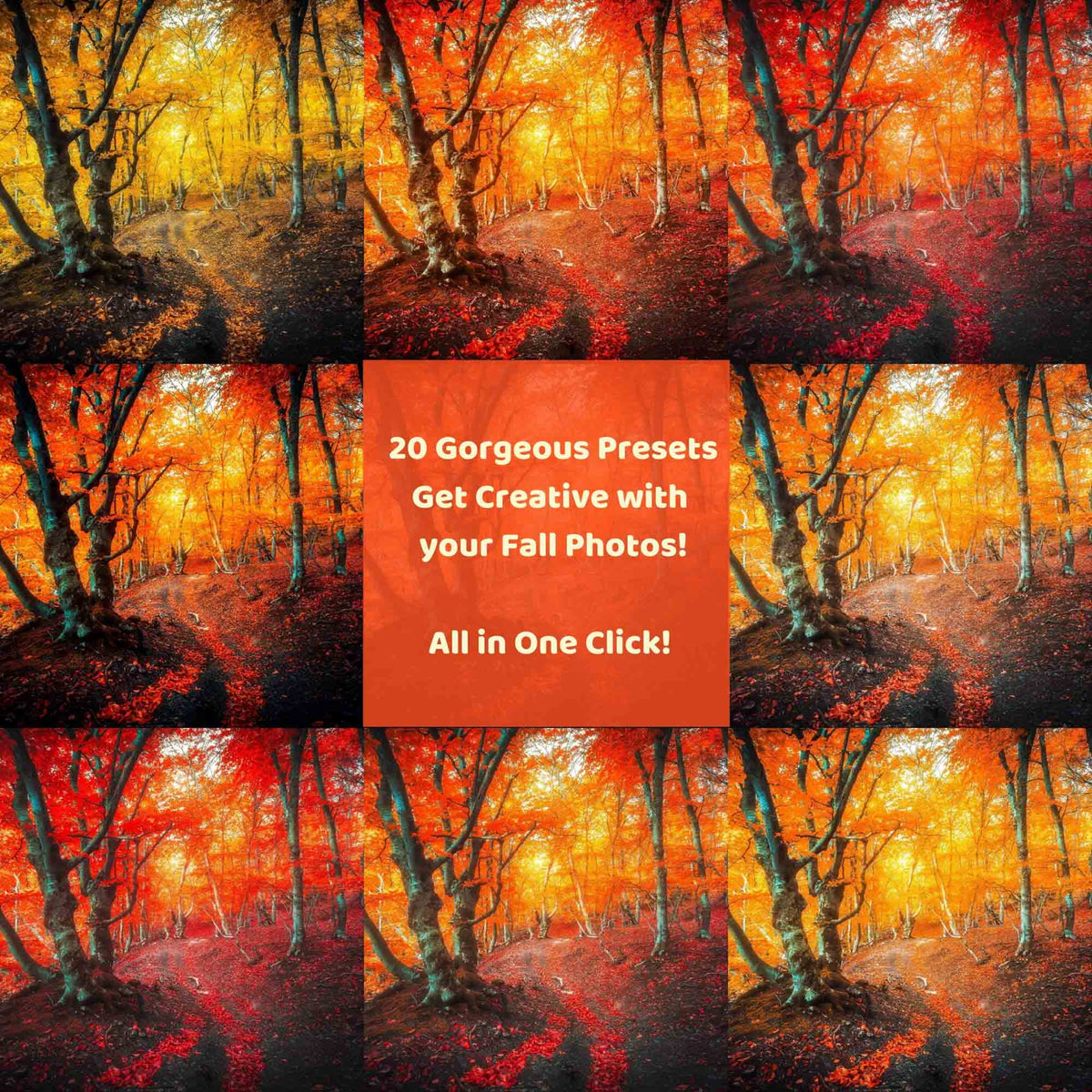 Fall LUTs Pack Premiere Pro and Final Cut Pro