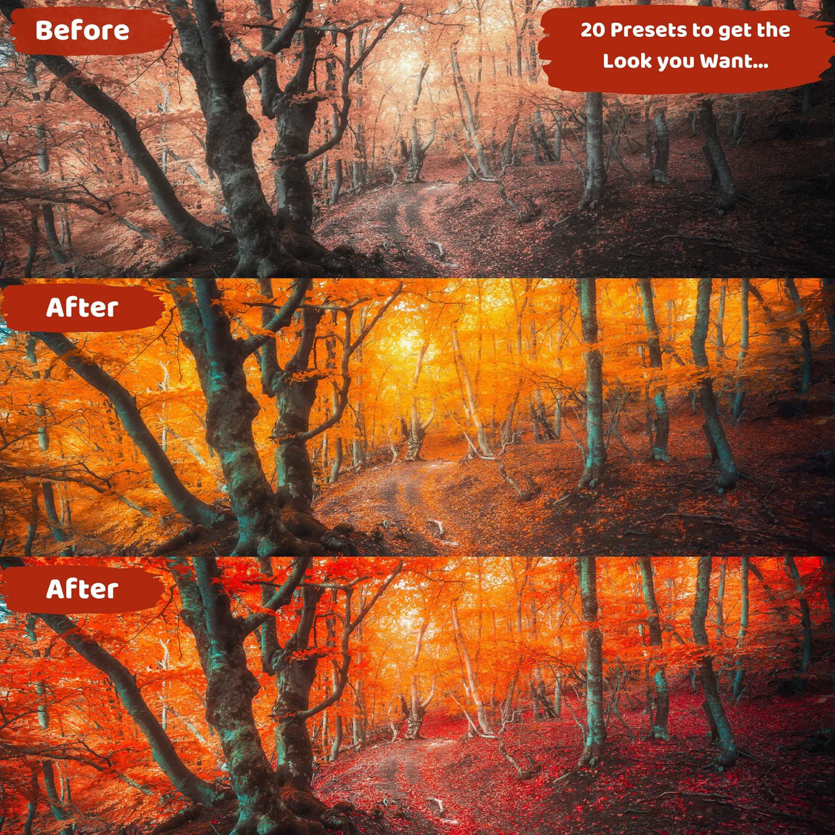 Fall Lightroom Presets Mobile and Desktop