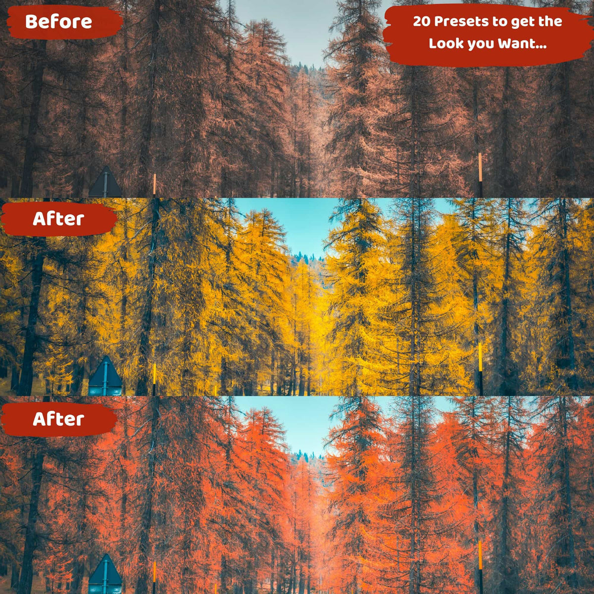 Fall Ligthtroom Presets Before and After