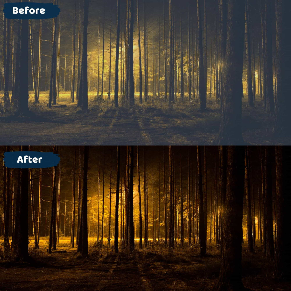 Goden Presets Lightroom Edit