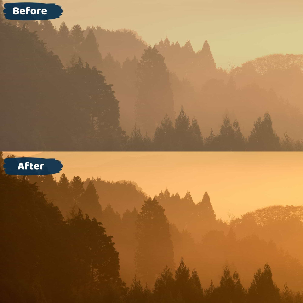 Golden Hour Lightroom Preset Mobile and Desktop