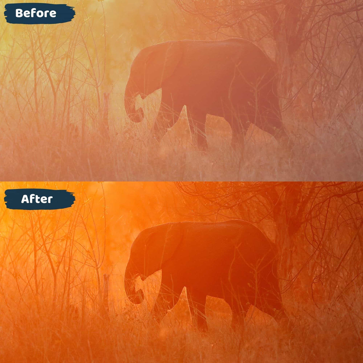 Golden Hour Lightroom Presets Sunset Preset