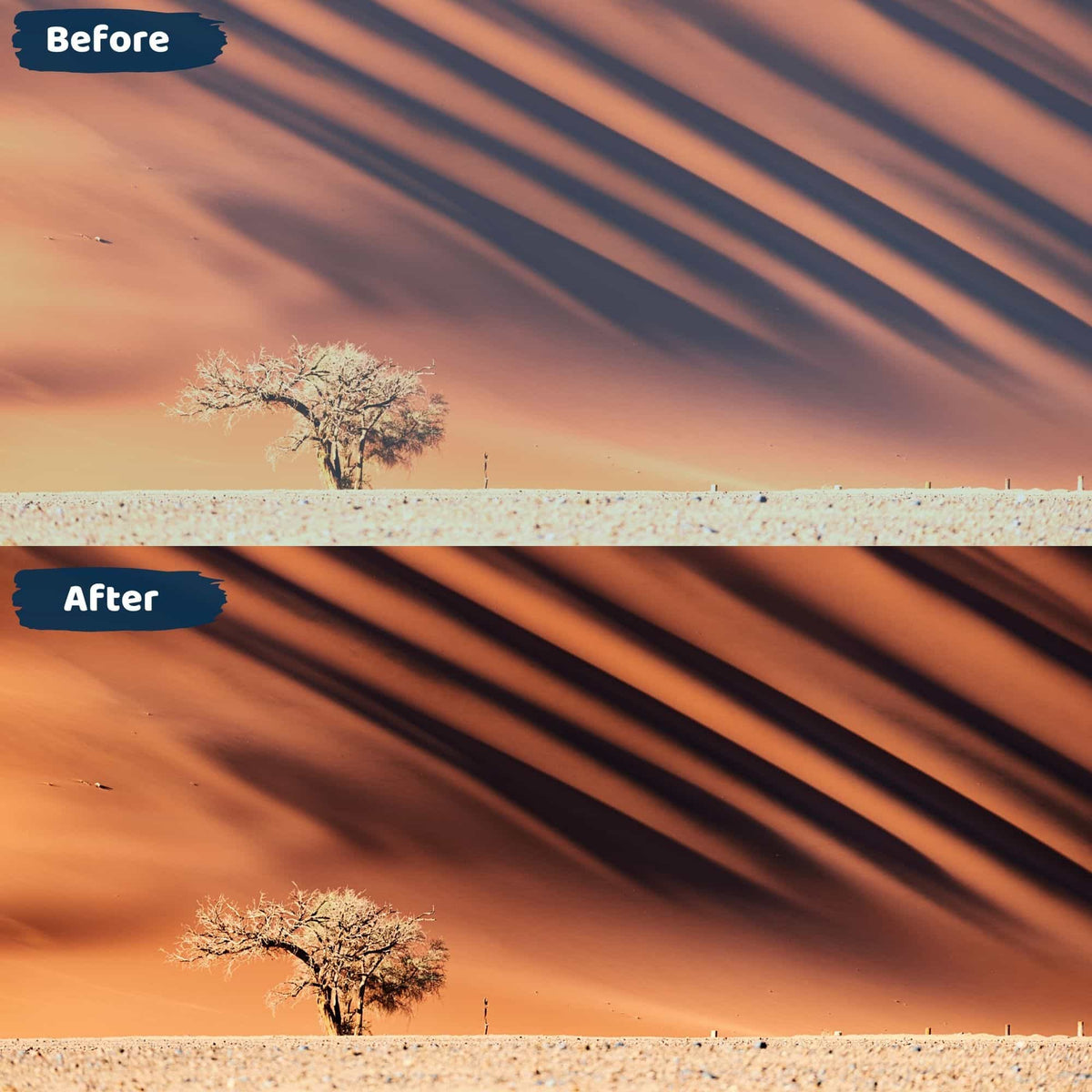Golden Lightroom Presets Mobile and DEsktop