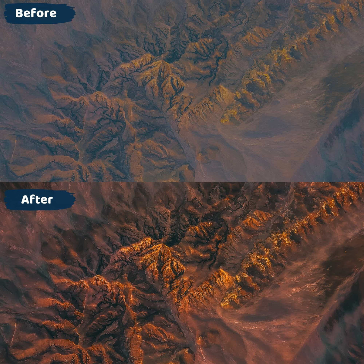 Golden Preset Lightroom Mobile and Desktop