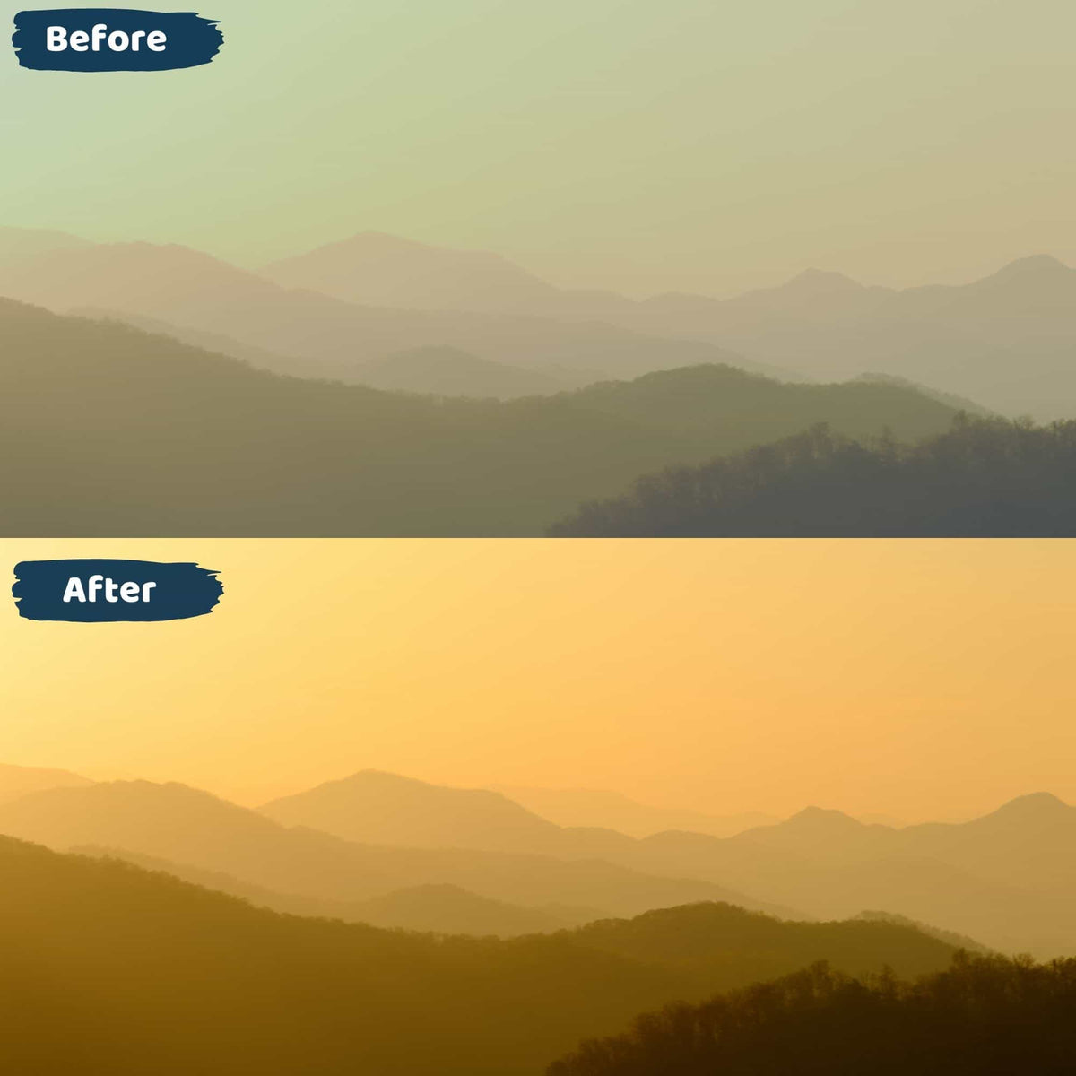Golden hour presets Lightroom Mobile and Desktop