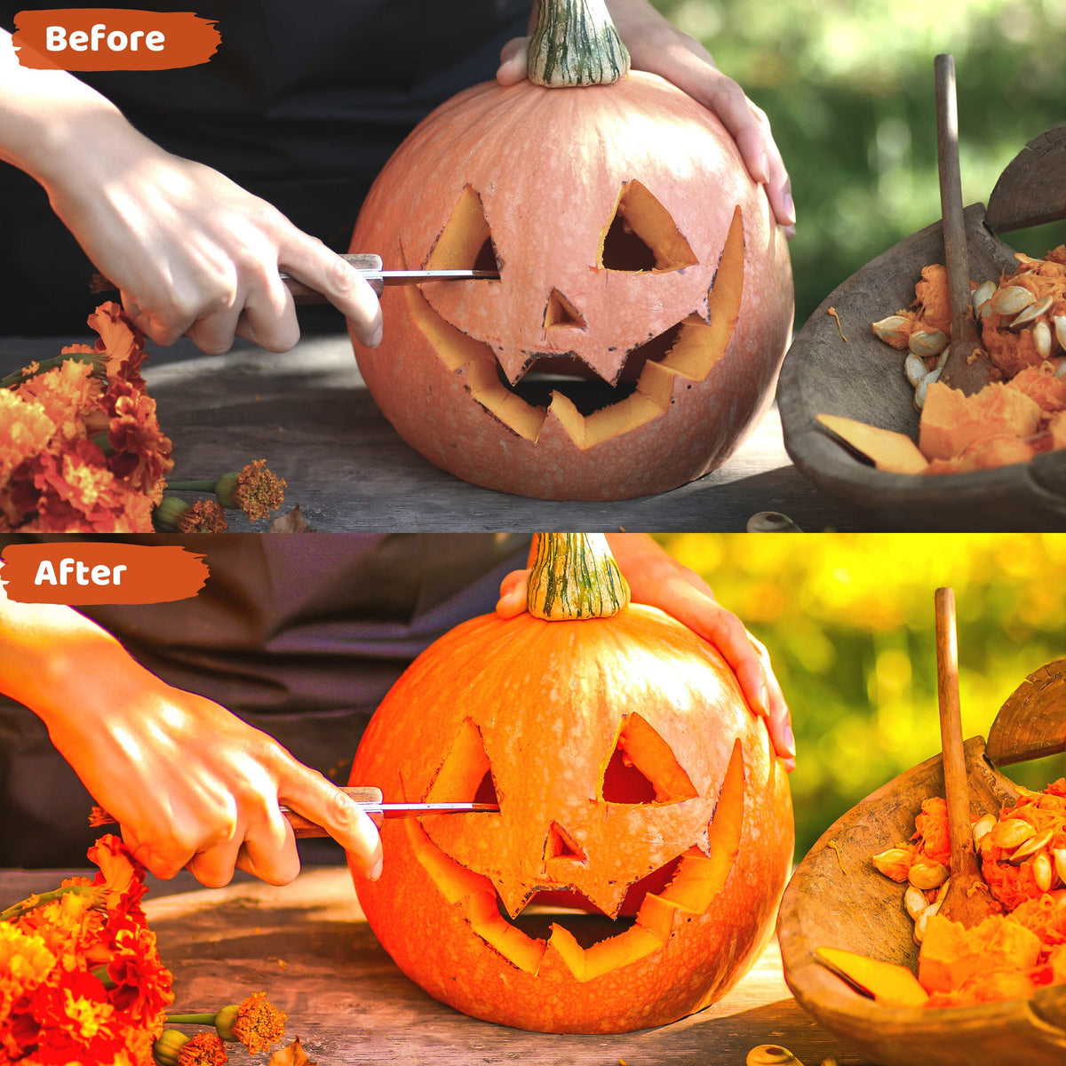 20 Pumpkin Presets