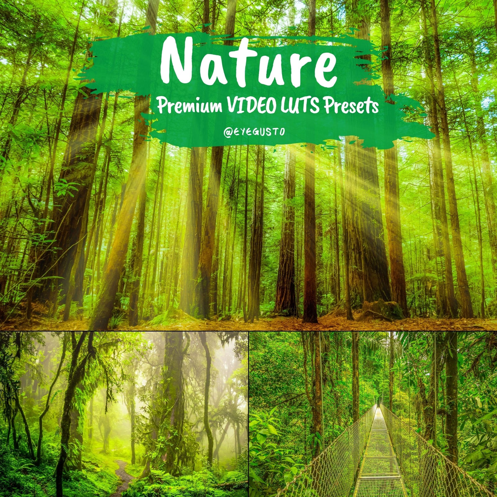 LUTS Premiere Pro and LUTS Final Cut Pro