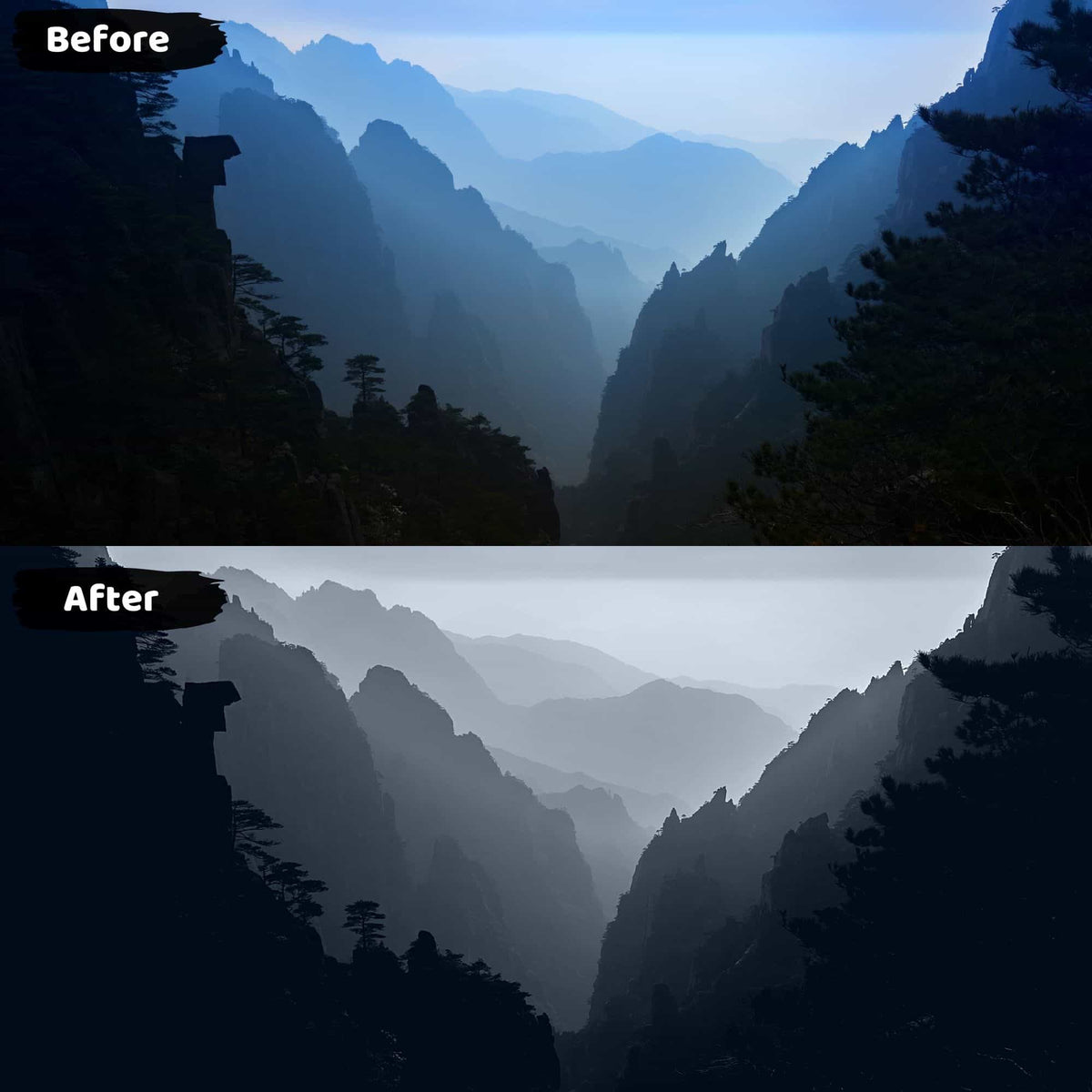 Landscape Lightroom Black and White Presets