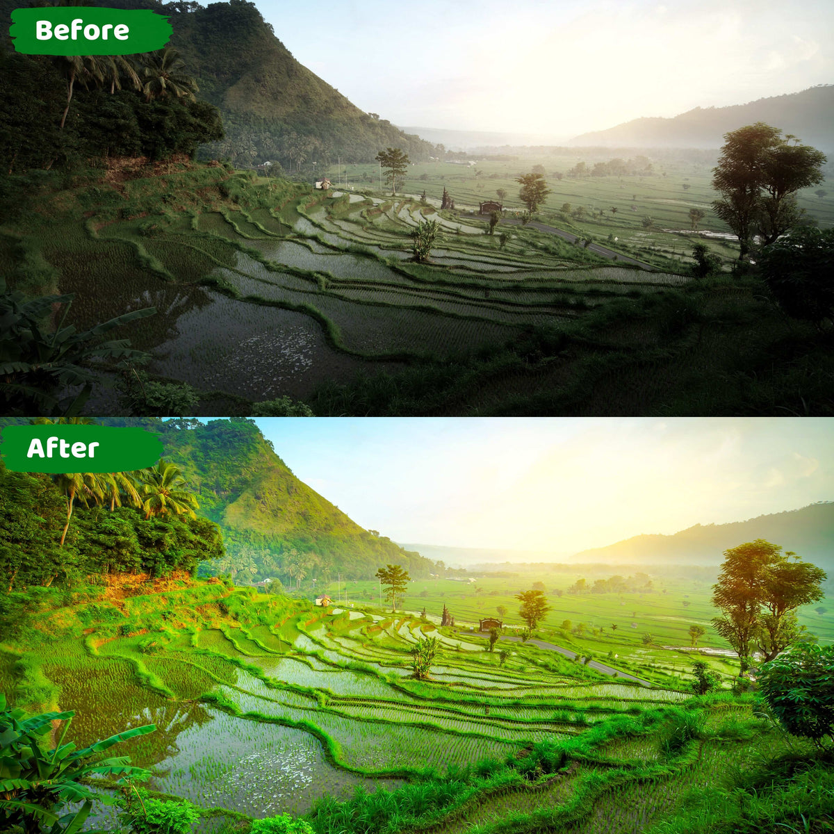 Landscape Presets for Lightroom Mobile