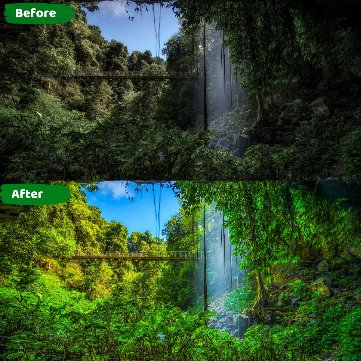 20 Nature Presets