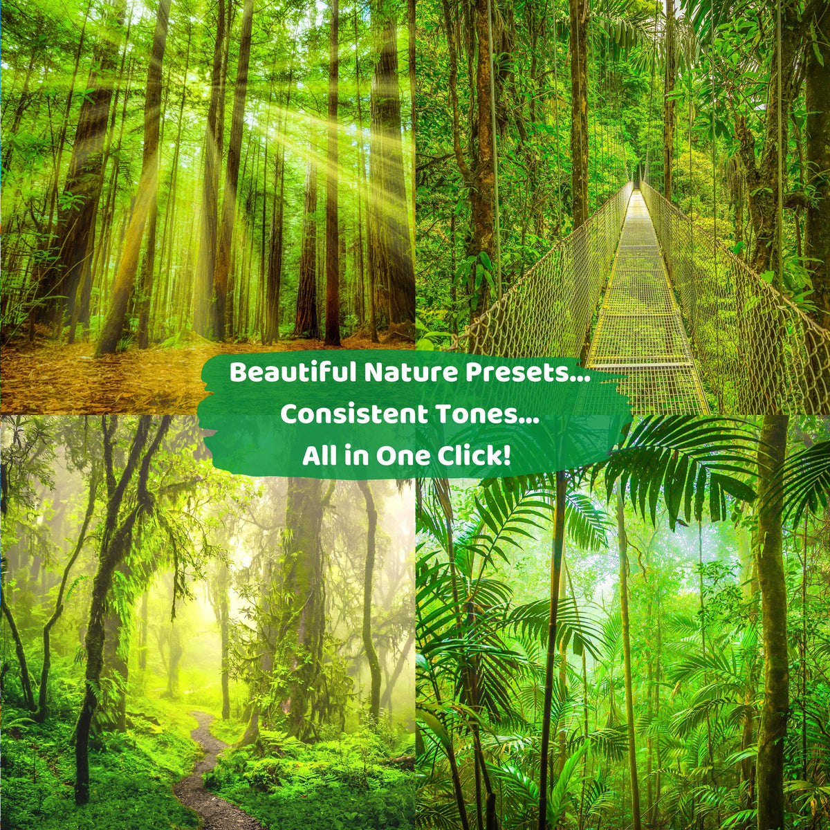 Lightroom Landscape Presets