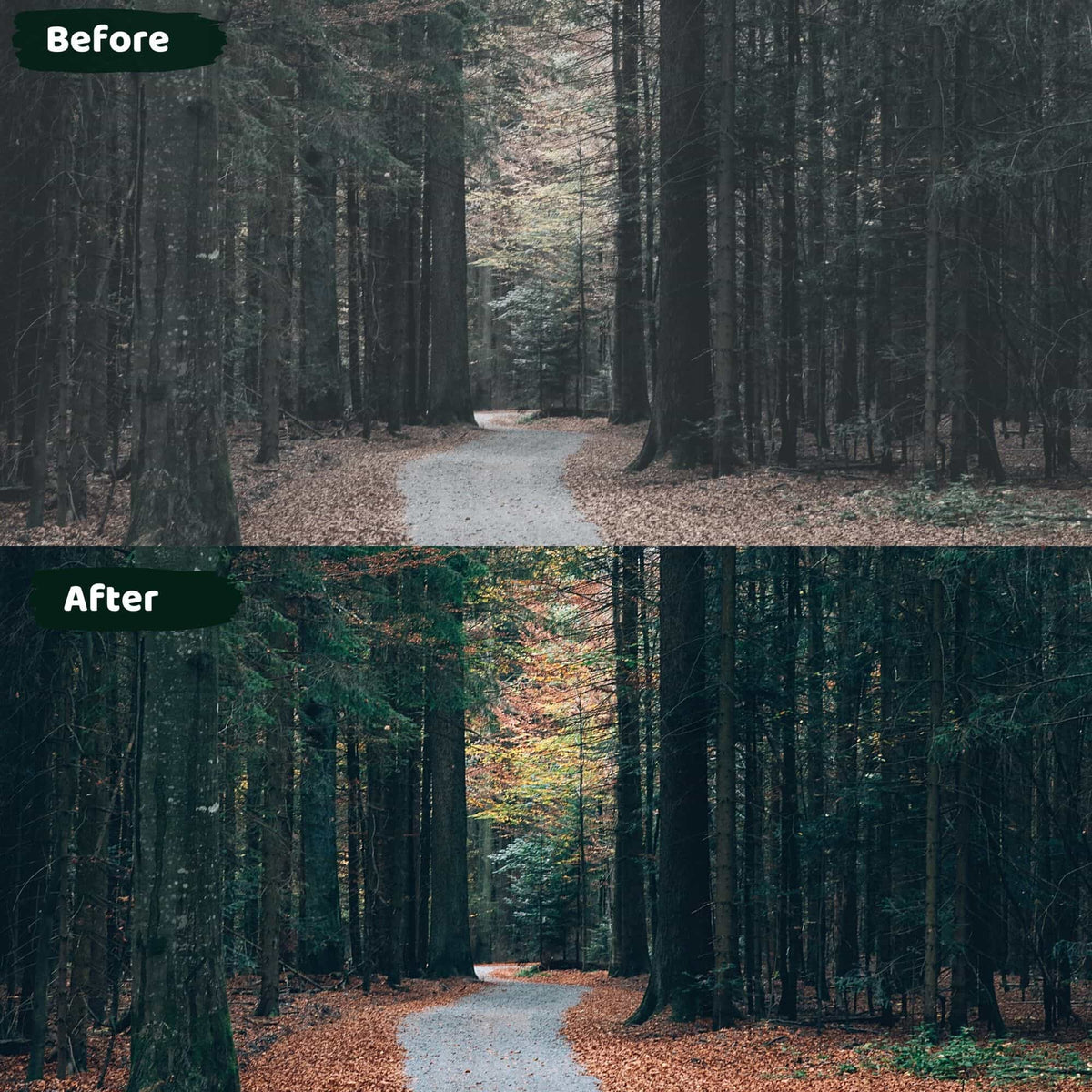 Moody Lightroom Presets Desktop and Mobile