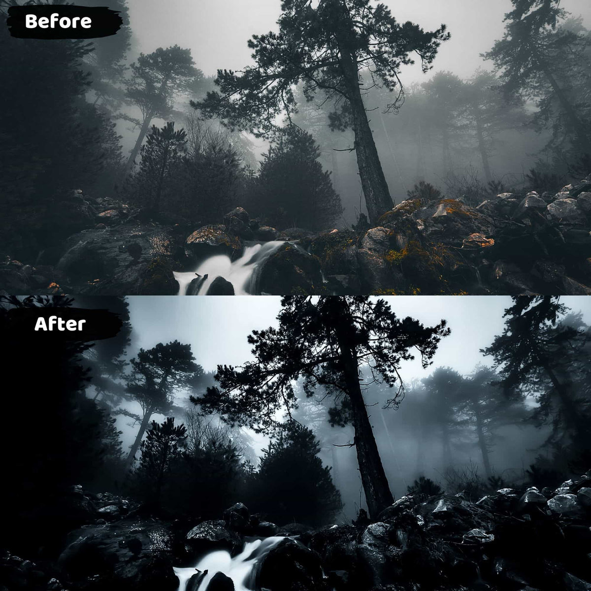 Nature Black and Lightroom Presets