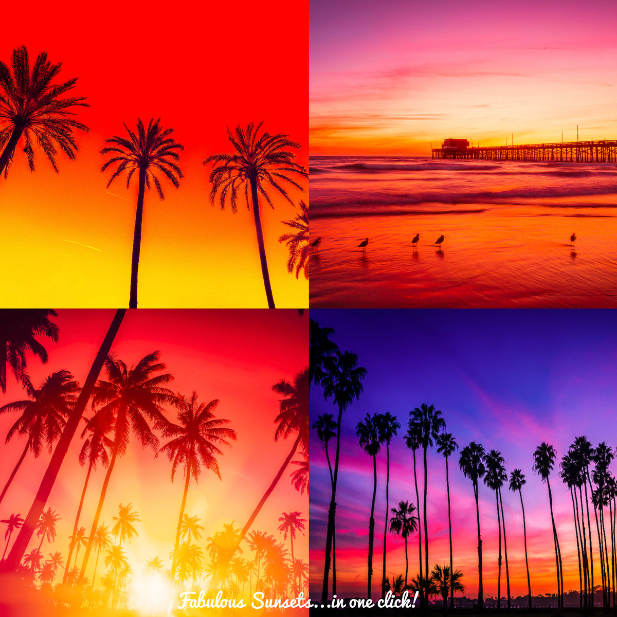 12 California Presets
