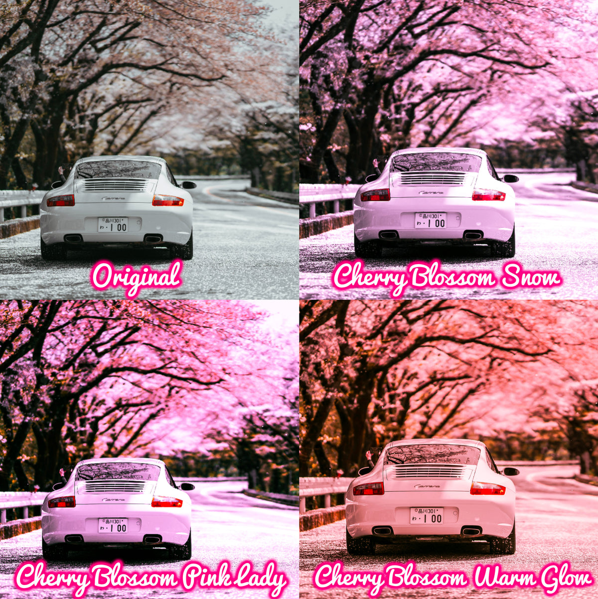 12 Spring Bloom Presets