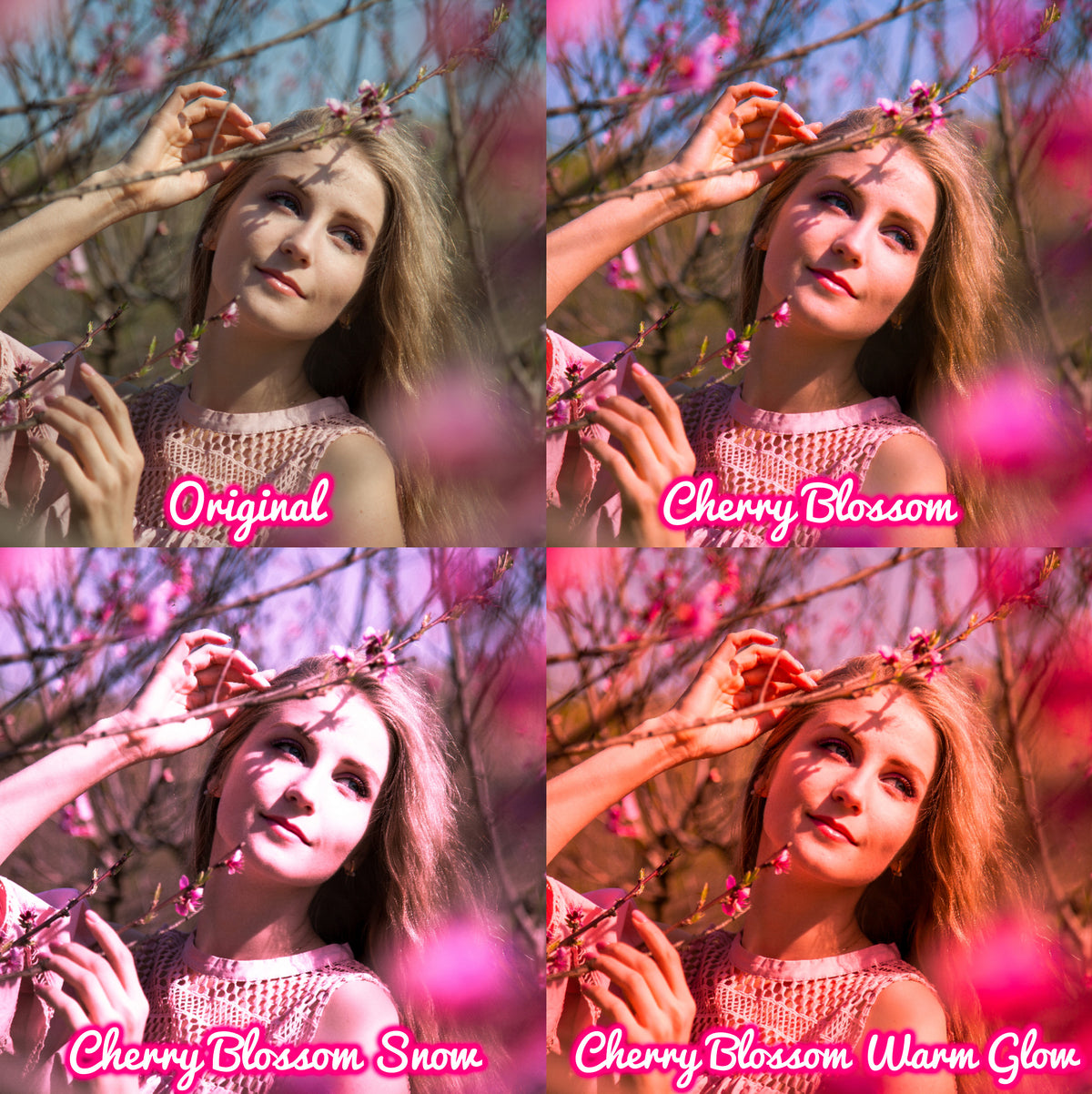 12 Spring Bloom Presets