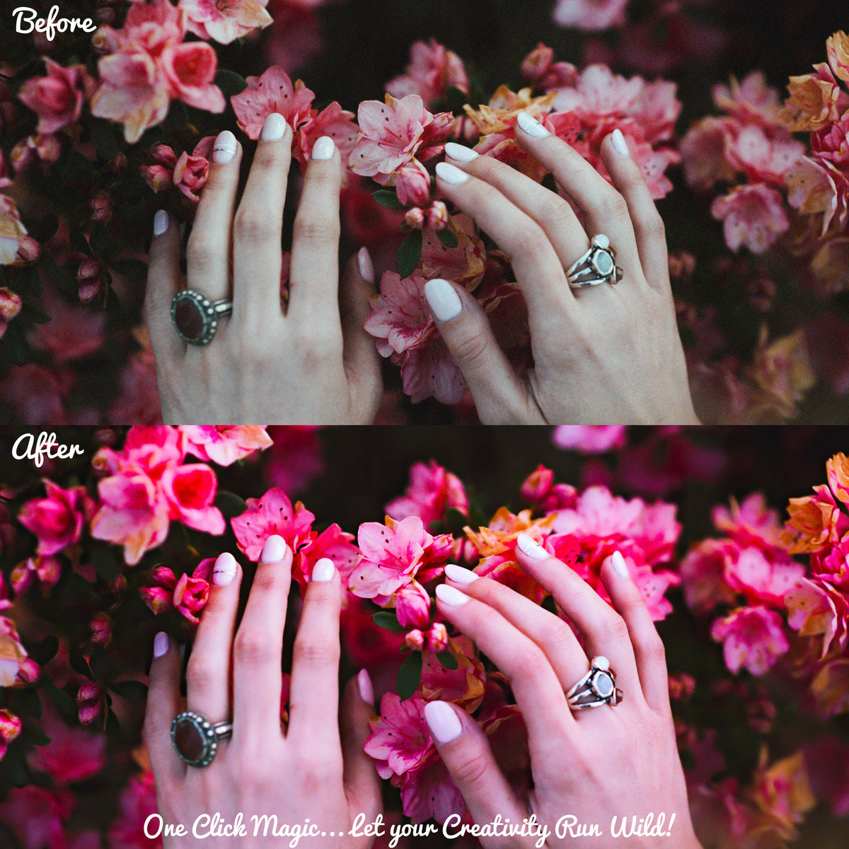 12 Spring Bloom Presets
