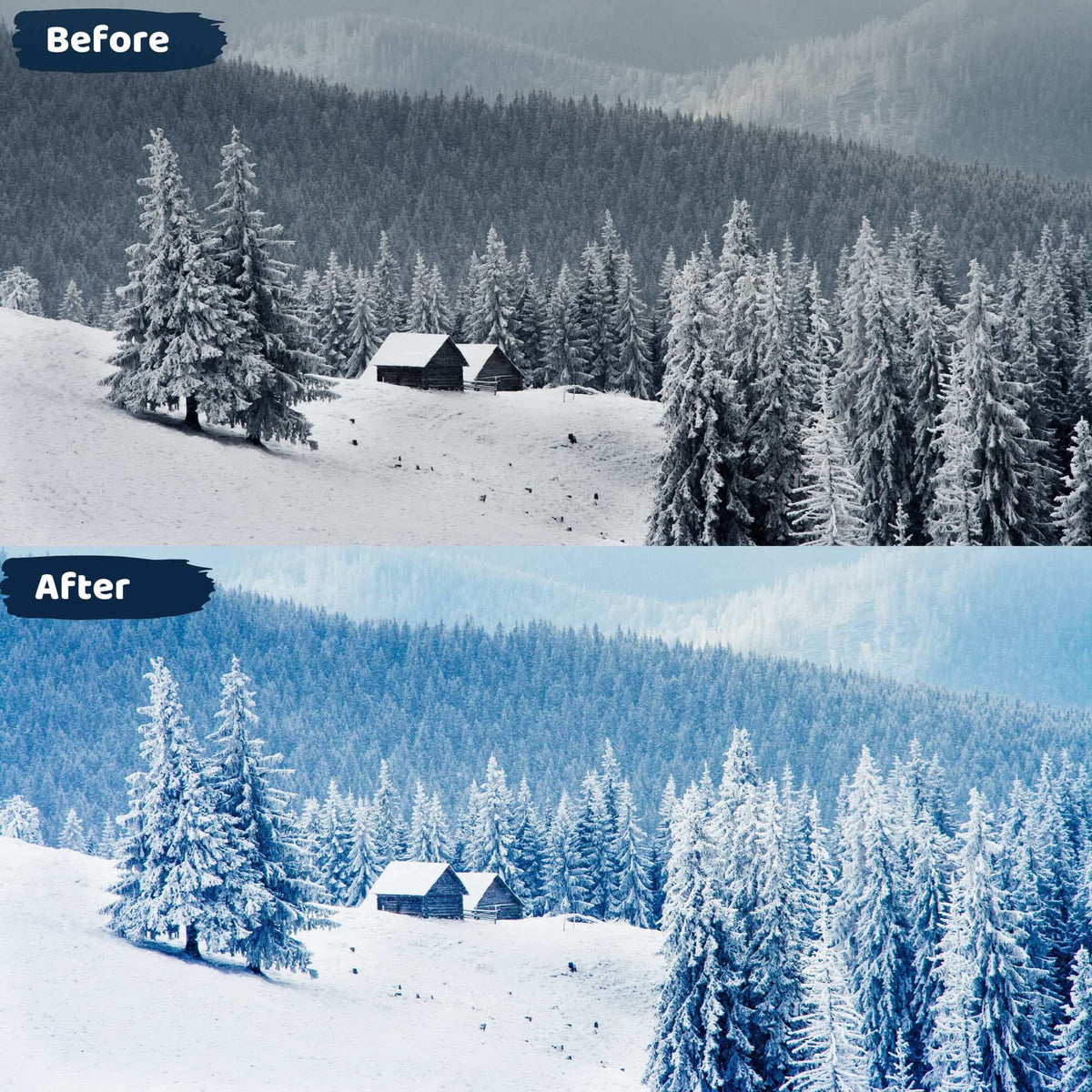 Snow Lightroom Presets White