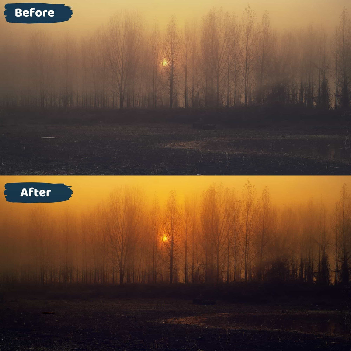 Sunset Lightroom Presets Mobile and Desktop