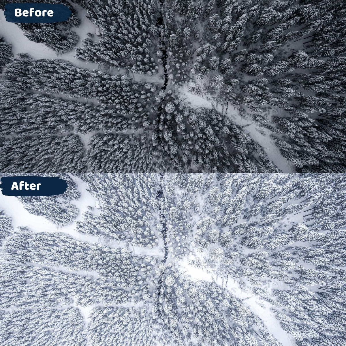 Winter White Lightroom Presets Mobile and Desktop