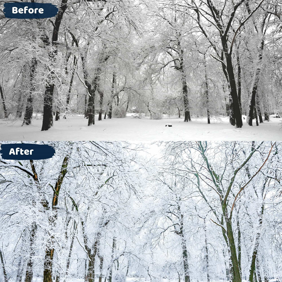 White Presets Lightroom Mobile Winter