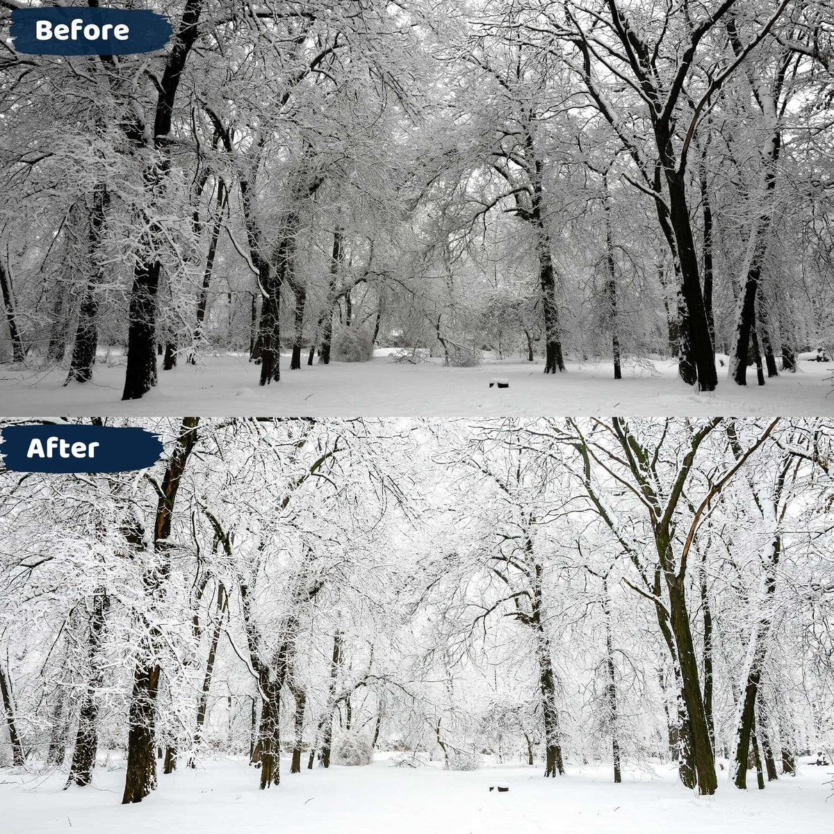 White Winter Presets Lightroom Mobile and Desktop