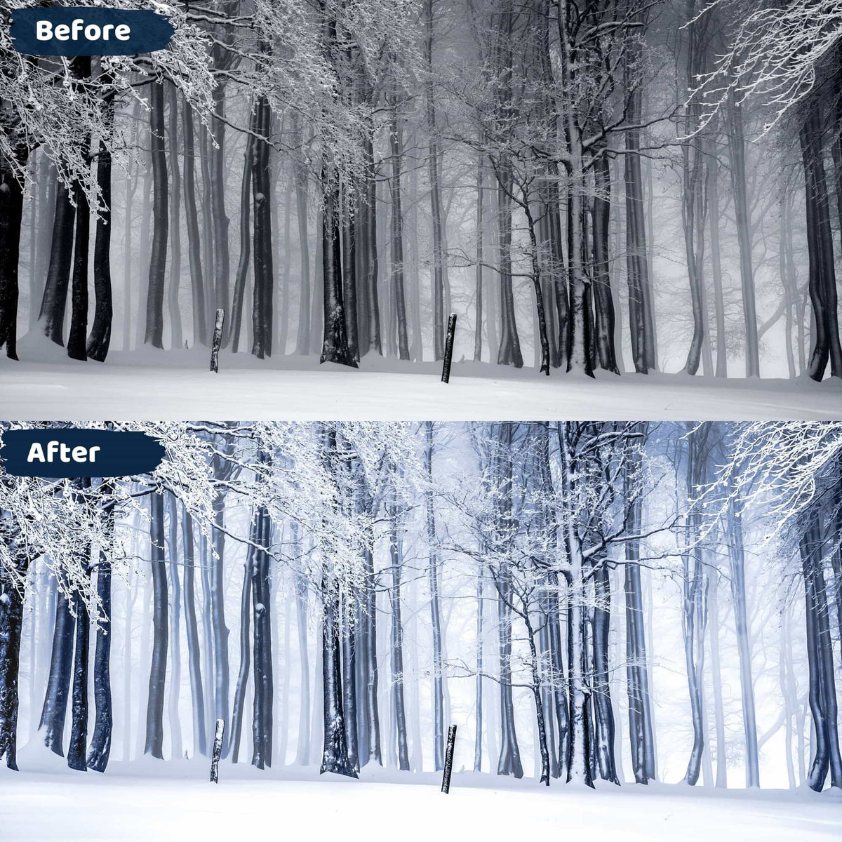 Winter Presets Lightroom Mobile and Desktop