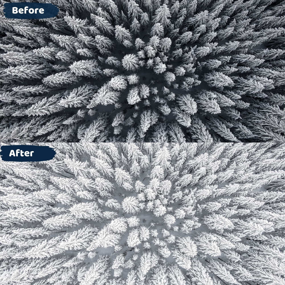 Winter White Lightroom Presets Mobile and Desktop